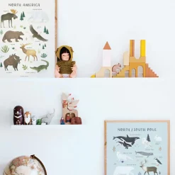 Affiche Animaux des Pôles Nord et Sud (30 x 40 cm)