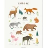Affiche Animaux d'Europe (30 x 40 cm)