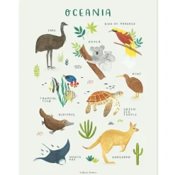Affiche Animaux d'Océanie (30 x 40 cm)