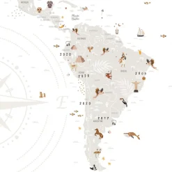 Affiche Carte du monde (61 x 91 cm)