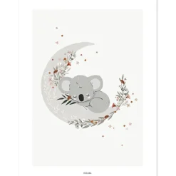 Affiche Cute Koala (30 x 40 cm)