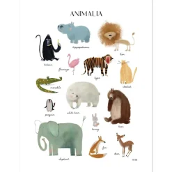 Affiche Les animaux (30x40 cm)
