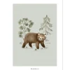 Affiche ours Little Bear (30 x 40 cm)