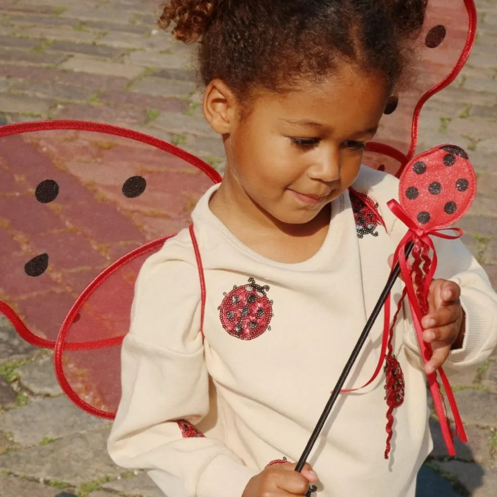 Ailes de fée Coccinelle