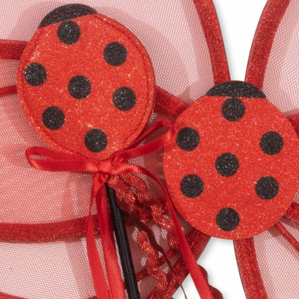 Ailes de fée Coccinelle