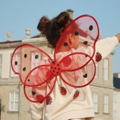 Ailes de fée Coccinelle