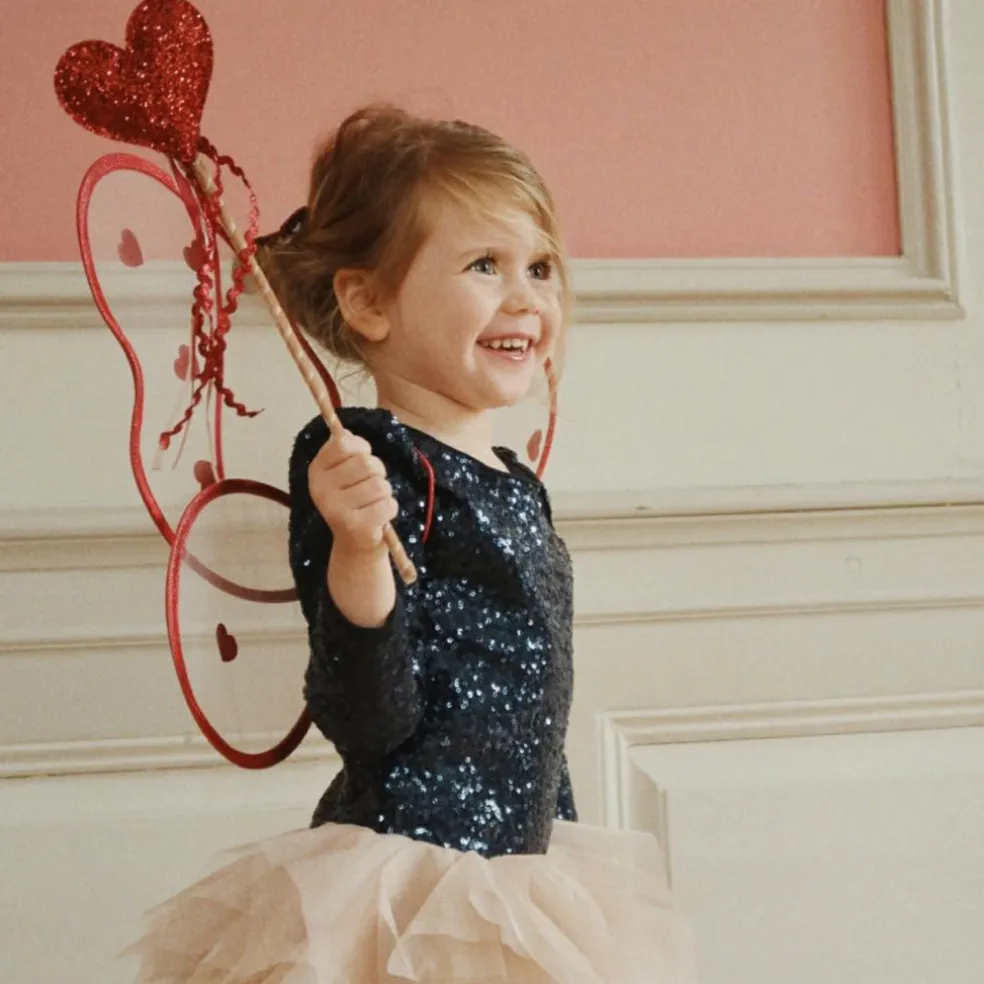 Ailes de fée Cœurs