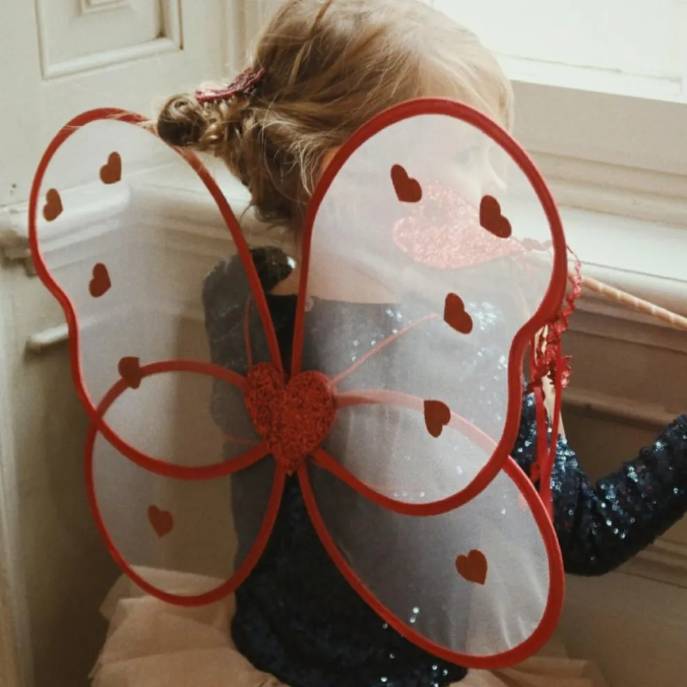 Ailes de fée Cœurs