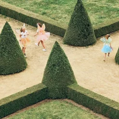 Ailes de fée Gracia