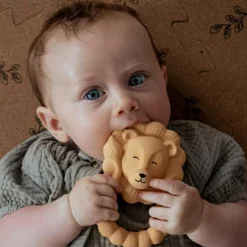 Anneau de dentition Lion