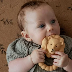 Anneau de dentition Lion