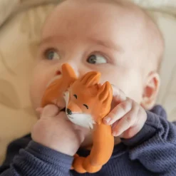 Anneau de dentition Renard