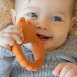 Anneau de dentition Renard