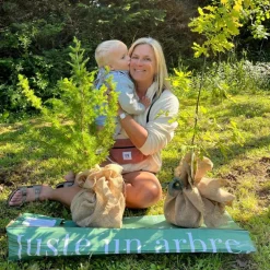 Arbre à offrir Chêne Pédonculé - Force, Longévité et Durabilité