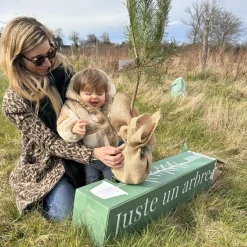 Arbre à offrir Pin Sylvestre - Immortalité et Persévérance