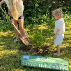 Arbre à offrir Pin Sylvestre - Immortalité et Persévérance