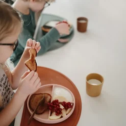 Assiette à compartiments en silicone avec ventouse Blush