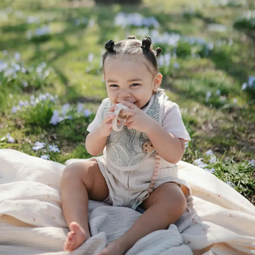 Attache sucette Eva Blush