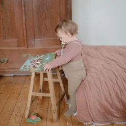 Autocollants réutilisables Sticker Book Farm