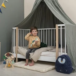 Avion des animaux en bois