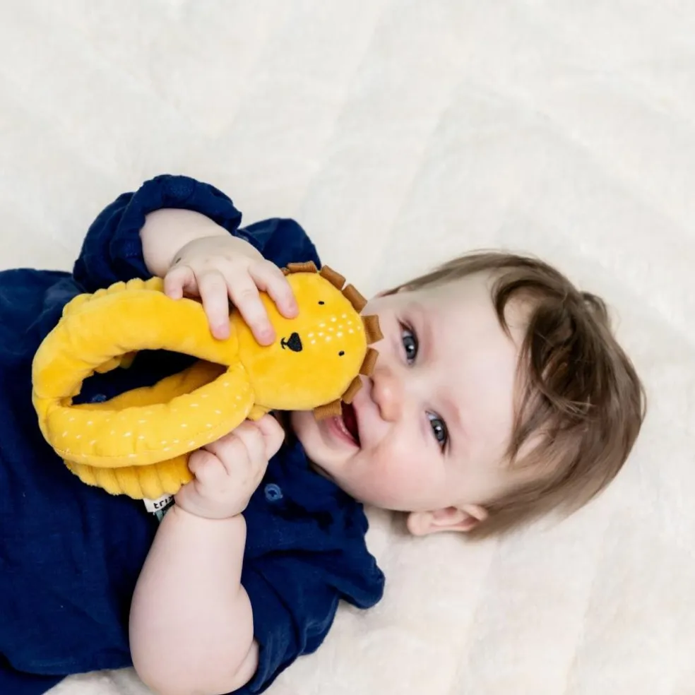 Balle de préhension Mr. Lion