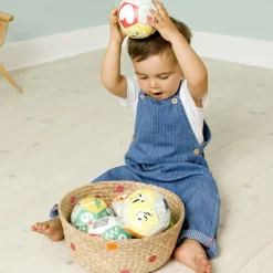 Balle éducative Ferme