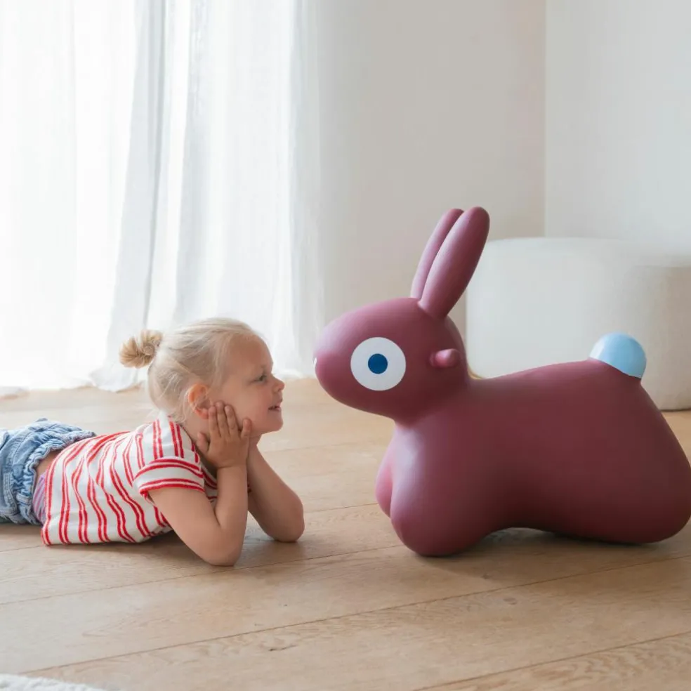 Ballon sauteur Hoppi Lapin Bordeaux