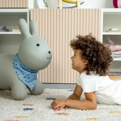 Ballon sauteur Lapin