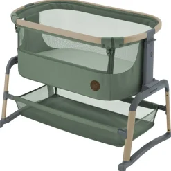 Berceau cododo Iora air Beyond Green