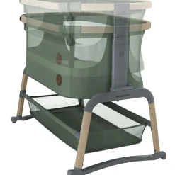 Berceau cododo Iora air Beyond Green