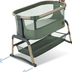 Berceau cododo Iora air Beyond Green