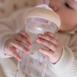 Biberon anti colique Berries (360ml)