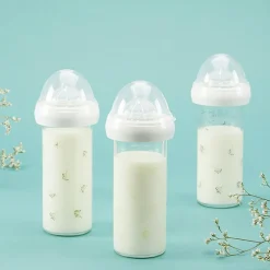 Biberon verre anti colique Gypsophile vert (240 ml)