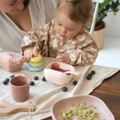 Bol silicone ventouse Barbe à papa