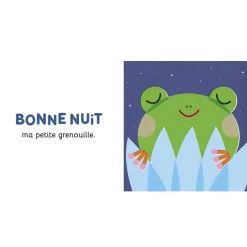 Bonne nuit mon petit chat !