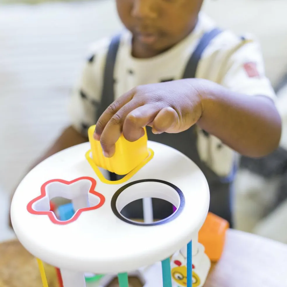 Boîte à formes Zèbre et Chenille