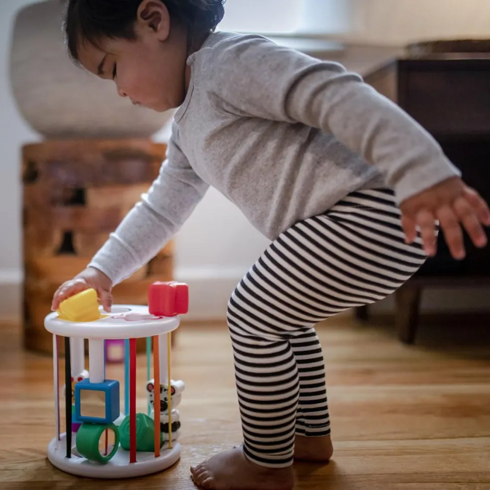 Boîte à formes Zèbre et Chenille