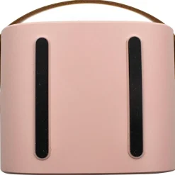 Boîte karaoké enceinte et micro Rose