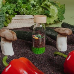 Bouteille sensorielle Learn bottle Veggies