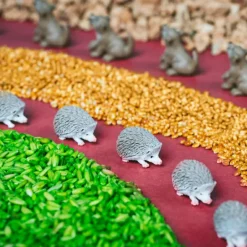 Bouteille sensorielle Spy Forest