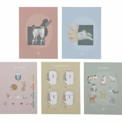 Cabinet de vétérinaire en bois FSC