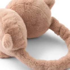 Cache-oreilles Timothy Cat