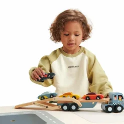 Camion transporteur de voitures