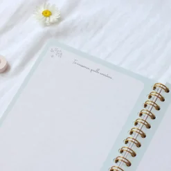 Carnet des premiers jours de bébé (0-3 mois)