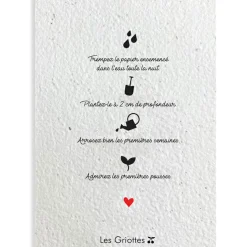 Carte à planter A5 Merci Maîtresse