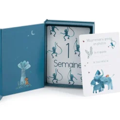 Cartes Mes 12 premiers mois Sous mon Baobab