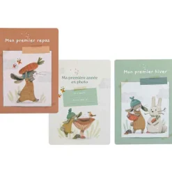 Cartes étapes Mes 12 premiers mois Trois petits lapins (30 cartes)