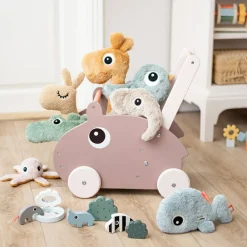 Chariot de marche Ozzo Rose