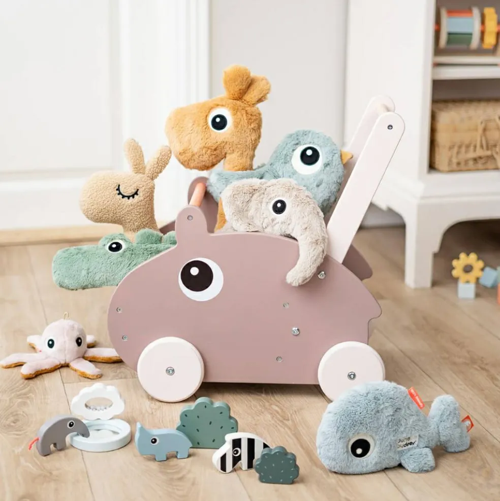 Chariot de marche Ozzo Rose