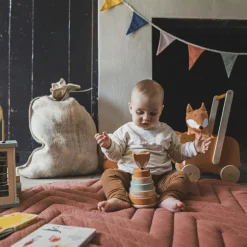 Chariot de marche renard Mr. Fox